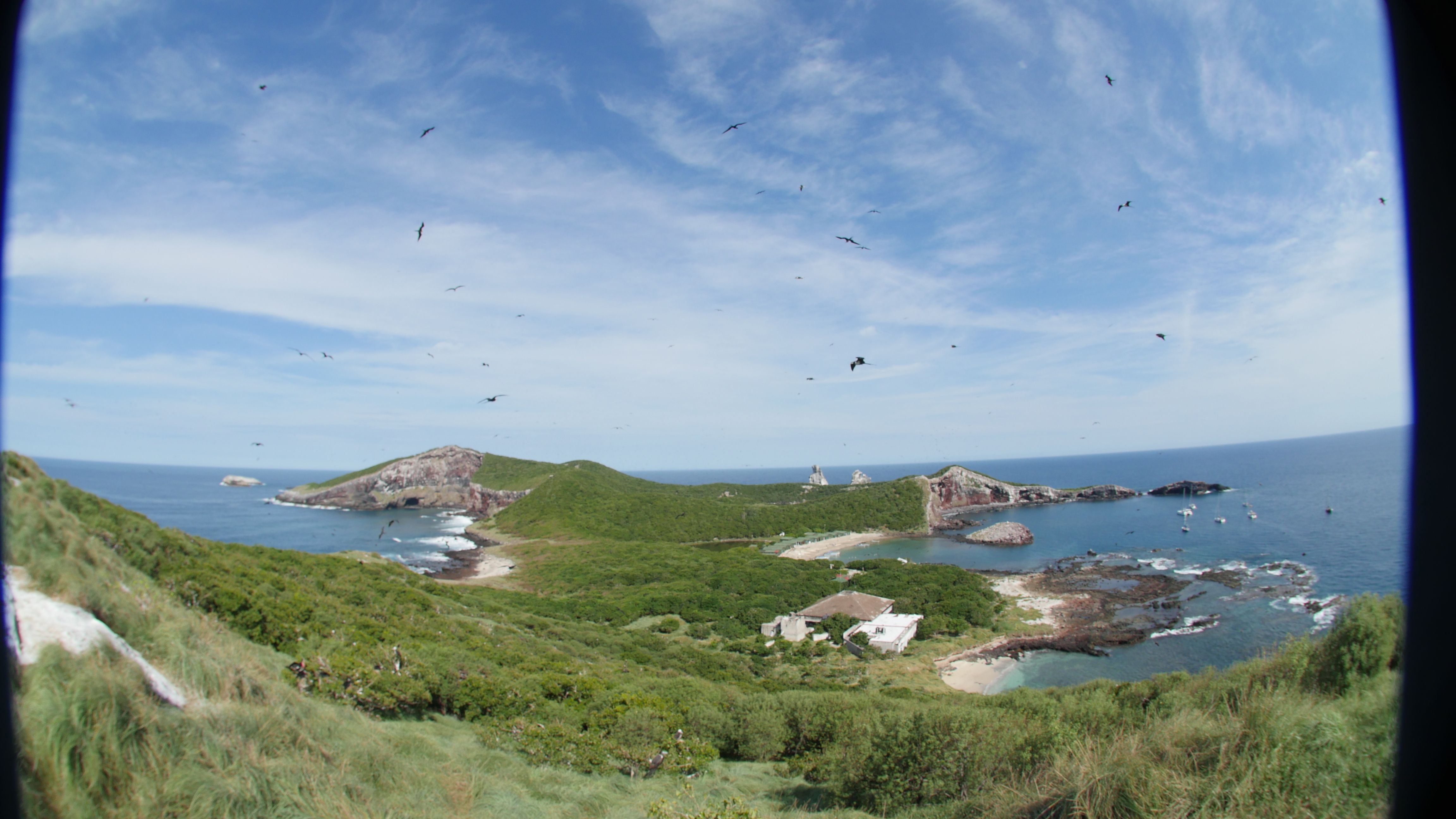 Isla Isabel vía Kit de Medios.